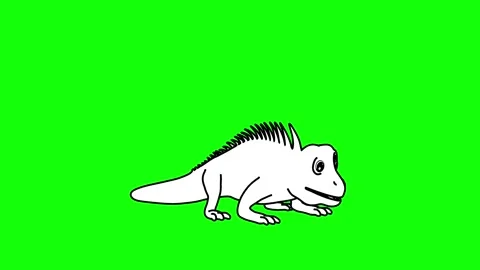 Iguana Dancing Animation Perspective View Outline Sketch Stock-Footage 329969364
