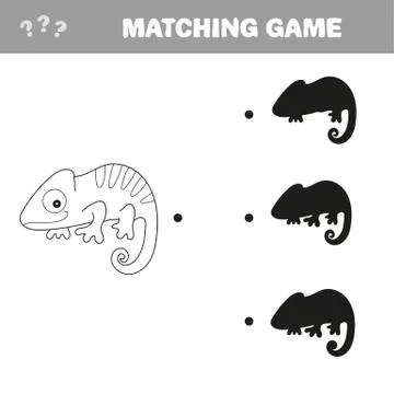 Iguana with different shadows to find correct one, compare and connect object 스톡 일러스트