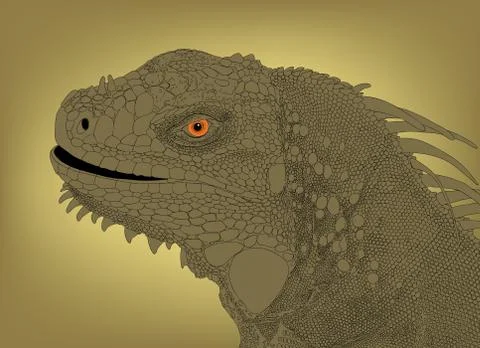 Iguana head Stock-Illustration
