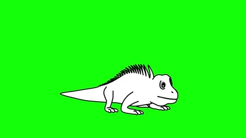Iguana Idle Animation Perspective View Outline Sketch Stock-Footage 329969365
