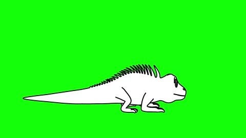Iguana Idle Animation Side View Outline Sketch Stock Footage 329969398