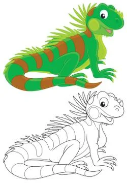 Iguana Stock Illustration