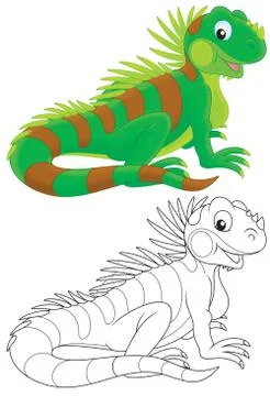 Iguana Stock Illustration