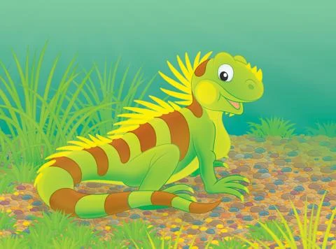 Iguana Illustrazione stock