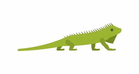 Iguana Stock Illustration
