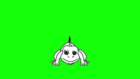 Iguana Jumping Animation Front View Outline Sketch Stock Footage 329969375