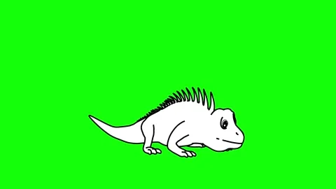 Iguana Jumping Animation Perspective View Outline Sketch Stock Footage 329969366