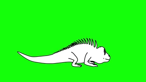 Iguana Jumping Animation Side View Outline Sketch Stock-Footage 329969404