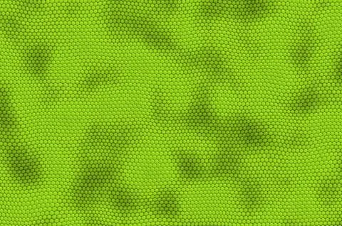 Iguana leather Stock Illustration