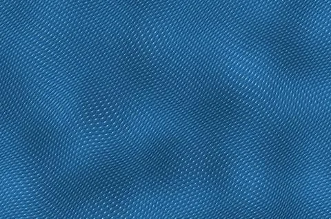 Iguana leather Stock Illustration