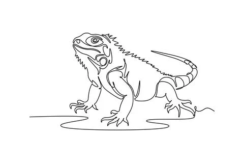 Iguana lizard crawling on the ground. Dorsal spines, textured skin Ilustração Stock