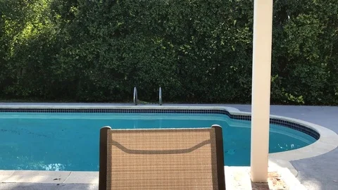 Iguana by the Pool Video stock 73156439
