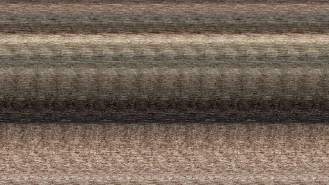 Iguanas 库存影片 117134411