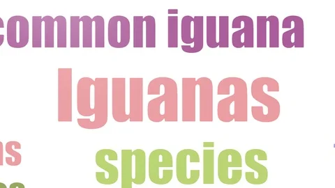 Iguanas Wordcloud Animated Isolated Stock Footage 107209144