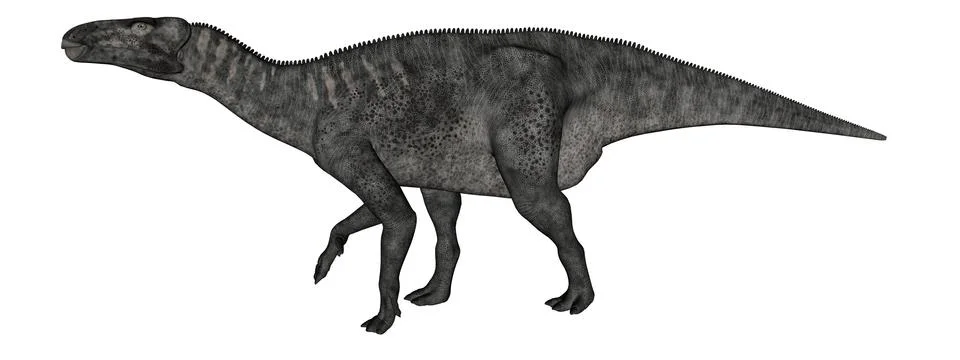 Iguanodon dinosaur walking - 3D render Stock Illustration
