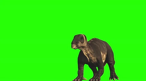 Iguanodon Stock Footage 50733459