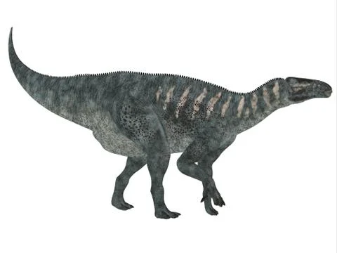 Iguanodon Side Profile Stock Illustration