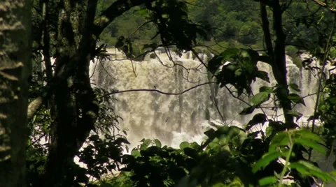 Iguassu Falls through the the Trees Stock-Footage 33602853