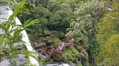 Iguazu 15 Stockbeeldmateriaal 307714246
