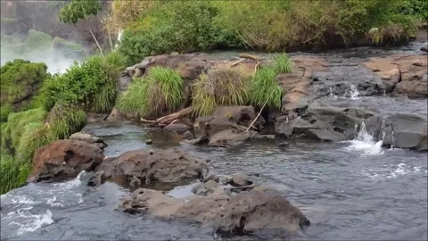 Iguazu 16 Vidéo 307714389