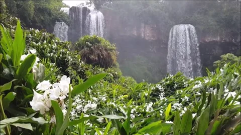 Iguazu 19 Stockbeeldmateriaal 307714386