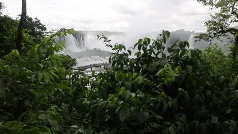 Iguazu falls behind the trees Stock Footage 227573236