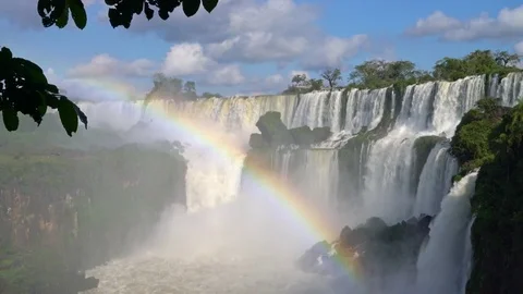 Iguazu Falls lower cataract tree silhouette and rainbow Stock Footage 73222320