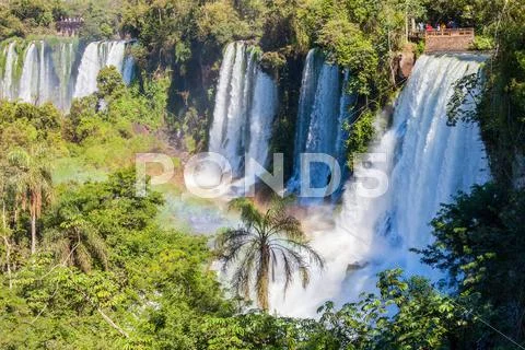 The Iguazu Falls Stock Photos