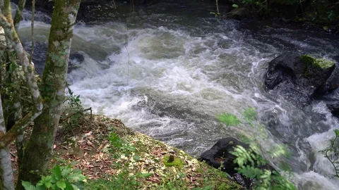 Iguazu Falls small falls in forest Stock Footage 73222096