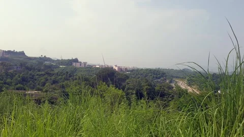 IIM campus Stock Footage 314653519