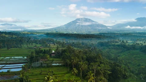 Ijen rice terrace hyper lapse Stock Footage 276588778