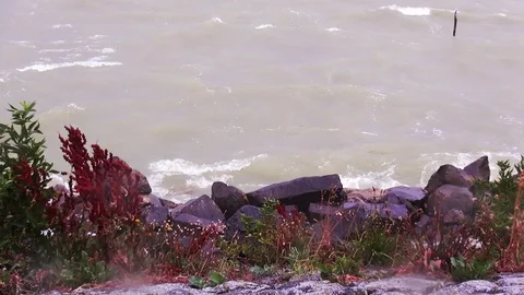 IJsselmeer waves on the dike Stock Footage 120031612