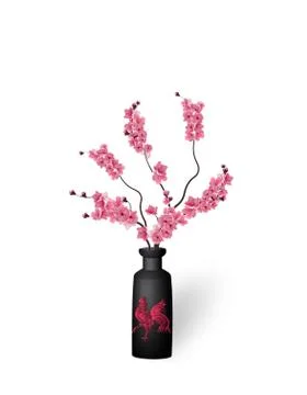 Ikebana. Composition. Figure branches Sakura flower. On a white background .. Stock Illustration
