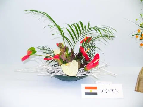 Ikebana. Dwarf trees in pots Stock Photos