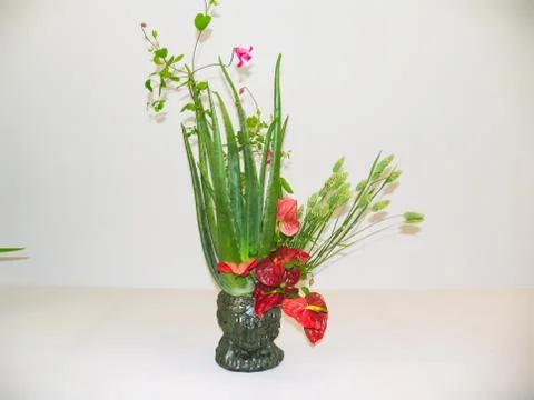 Ikebana. Dwarf trees in pots Foto stock
