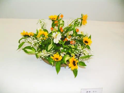 Ikebana. Dwarf trees in pots Foto stock