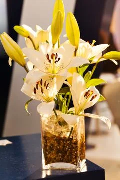 Ikebana of orchids Stock Photos