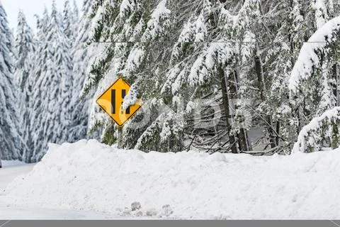 Ikon of road situating near wood Stock Photos