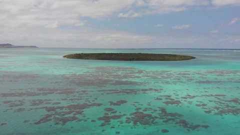 Ile Aux Aigrettes Stock Footage 300167655