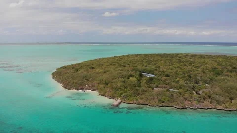 Ile Aux Aigrettes Stock Footage 300169252