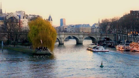 Ile de la Cite in the center of Paris with the river Seine. Stock Footage 105935838