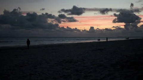 Ile de Re beach as sunset, France 库存影片 83811604
