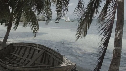 Ile A Vache Stock-Footage 85074060