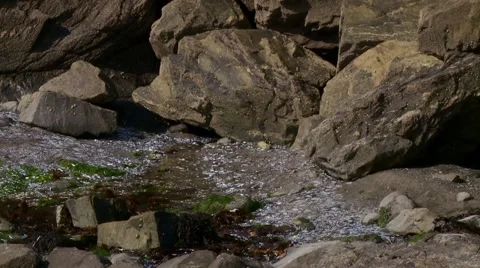 Ilife vs death Stock Footage 49118704