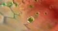 ill cells and green medicine - 3d animation HD Footage