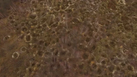 Illegal amber mining. Consequences of amber digging at autumn. Stock Footage 113277182