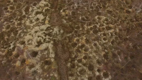 Illegal amber mining. Consequences of amber digging at autumn. Stock Footage 113277315