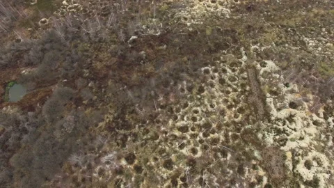 Illegal amber mining. Consequences of amber digging at autumn. Stock Footage 113539696