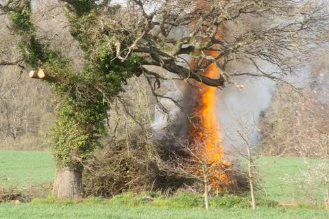 Illegal Bonfire Risks Starting Tree and Hedgerow Wildfire Start Stock Photos