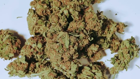 Illegal drugs on a table Stock Footage 79954844